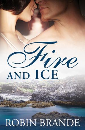 Cover of the book Fire and Ice by lost lodge press