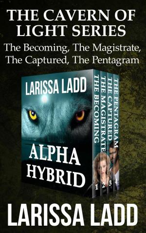Cover of the book Alpha Hybrid Boxed Set by Chef Goodies