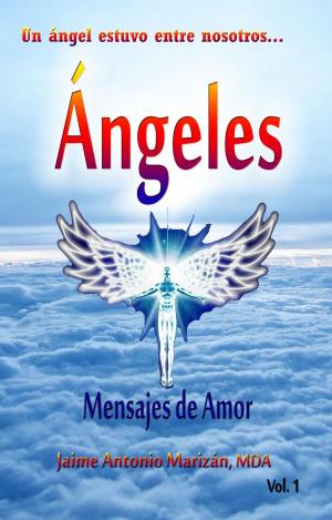 Cover of the book Angeles by Giuseppe Barbera