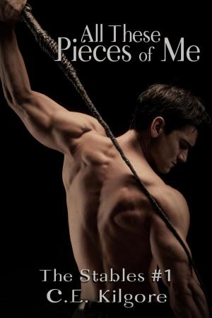 Cover of the book All These Pieces of Me by Charles  E. Van  Loan