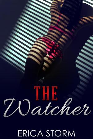 Cover of the book The Watcher by André Laurie, Léon Benett