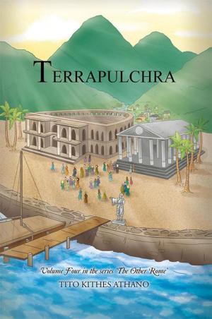 Cover of the book Terrapulchra by Patrick J McCarthy, Rebecca McCarthy