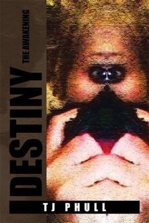 Cover of the book Destiny by Natasha Carr-Harris