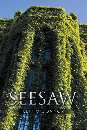 Cover of the book Seesaw by Saja Bo Storm