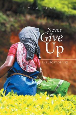 Cover of the book Never Give Up by S.R. Karfelt