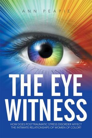 Cover of the book The Eye Witness by Paul Raffer