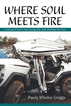 Cover of the book Where Soul Meets Fire by T.M.  Bogollagama