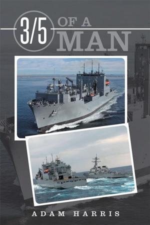 Cover of the book 3/5 of a Man by J.J. Leganeur