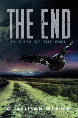 Cover of the book The End by Hank “H.T.’’ Morgan