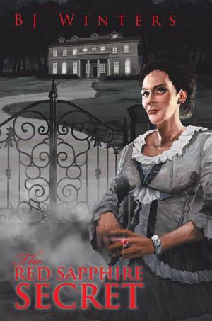 Cover of the book The Red Sapphire Secret by David J. McCarthy