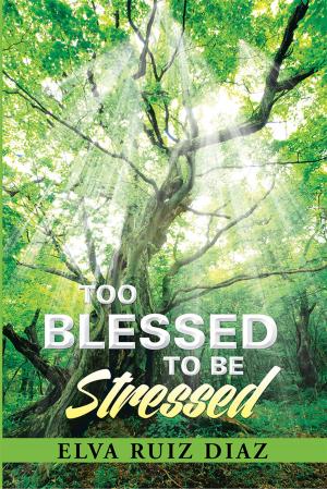 Cover of the book Too Blessed to Be Stressed by Joseph Burgo
