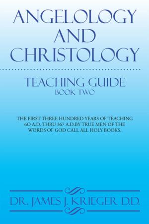 Cover of the book Angelology And Christology by S. Kramer MS