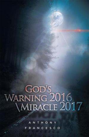 Cover of the book God's Warning 2016 \ Miracle 2017 by Bryan LeBlanc
