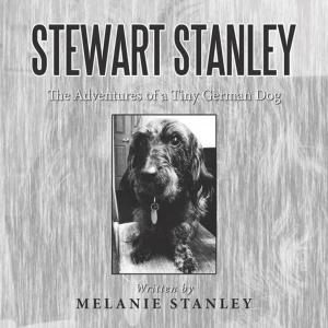 Cover of the book Stewart Stanley: the Adventures of a Tiny German Dog by Dawn Michele McCarty