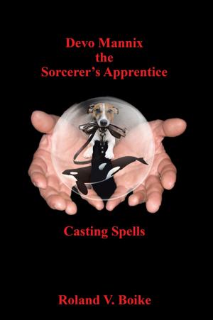 Book cover of Devo Mannix the Sorcerer’s Apprentice