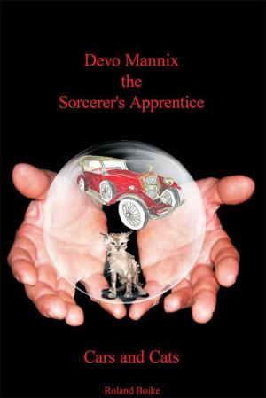 Book cover of Devo Mannix the Sorcerer's Apprentice