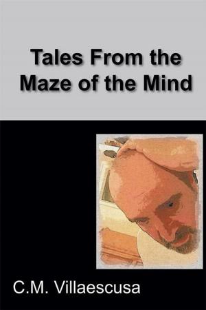 Cover of the book Tales from the Maze of the Mind by Michelle Cheeks