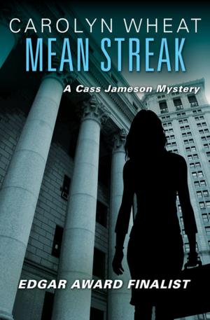 Cover of the book Mean Streak by Clare Francis