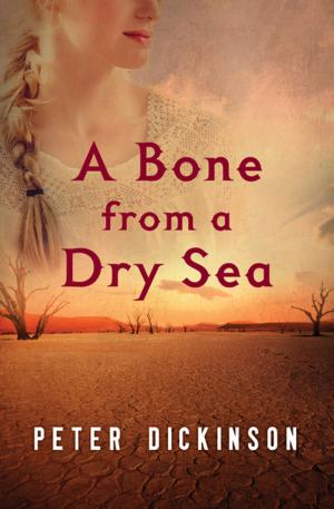 Cover of the book A Bone from a Dry Sea by Eileen Goudge
