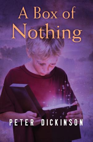 Cover of the book A Box of Nothing by Alan Dean Foster