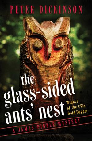 Cover of the book The Glass-Sided Ants' Nest by Donald McCaig