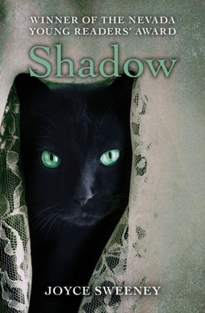 Cover of the book Shadow by Bonna Mae Chapman