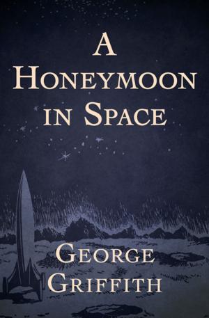Cover of the book A Honeymoon in Space by John Ashbery