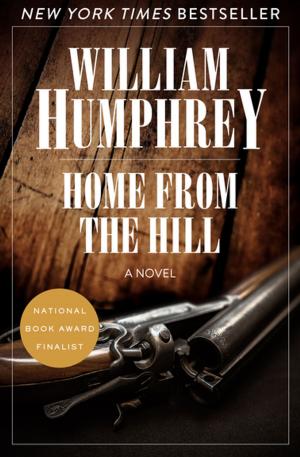 Cover of the book Home from the Hill by Elizabeth Gundy