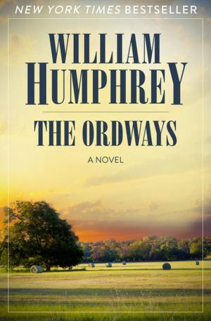 Cover of the book The Ordways by Amanda Scott
