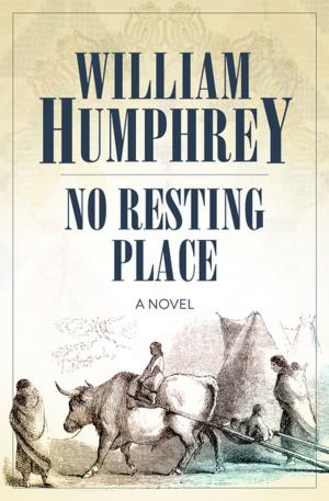 Cover of the book No Resting Place by James Herriot