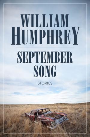 Cover of the book September Song by Nancy Springer
