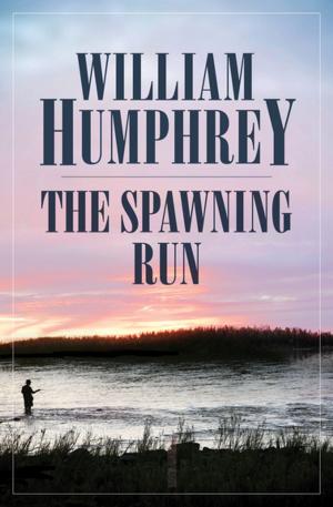 Cover of the book The Spawning Run by M. E. Kerr