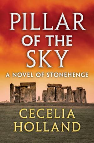Cover of the book Pillar of the Sky by Oisín McGann