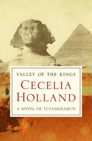 bigCover of the book Valley of the Kings by 