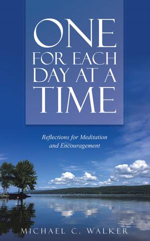 Cover of the book One for Each Day at a Time by Alivia Cahill