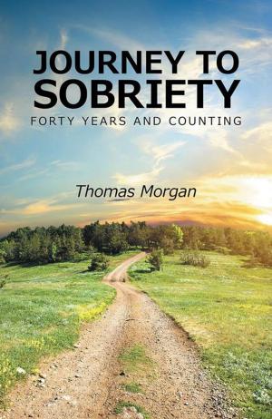 Cover of the book Journey to Sobriety by Kari Trottier-Whitsitt