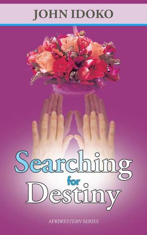 Cover of the book Searching for Destiny by Stewart French