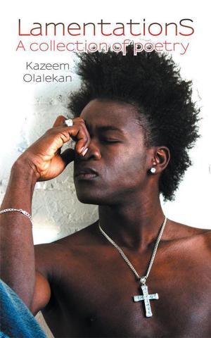 Cover of the book Lamentations by Folorunsho Joseph