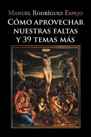 Cover of the book Cómo Aprovechar Nuestras Faltas Y 39 Temas Más by Estela Román