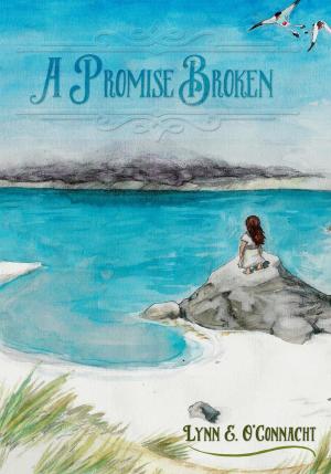 Book cover of A Promise Broken