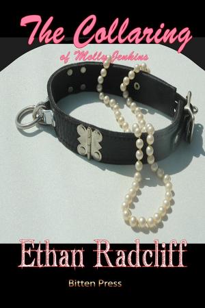 Cover of the book The Collaring of Molly Jenkins by Ethan Radcliff