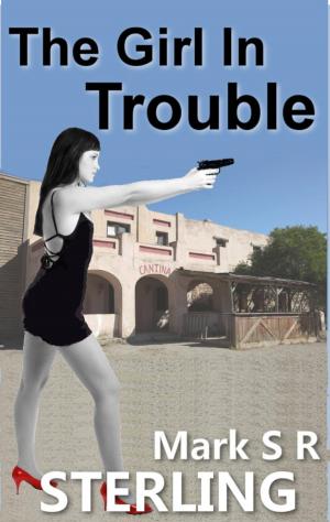 Book cover of The Girl In Trouble