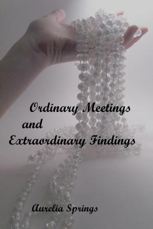 bigCover of the book Ordinary Meetings and Extraordinary Findings by 