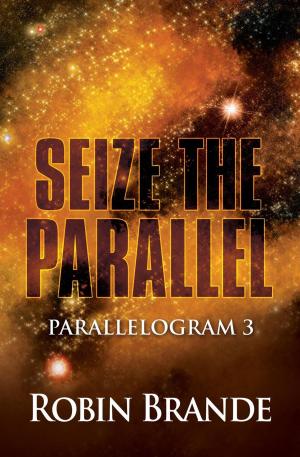 Cover of the book Seize the Parallel by Robin Brande