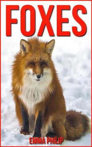 bigCover of the book Foxes by 