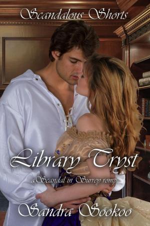 Cover of the book Library Tryst by Irene P. Smith