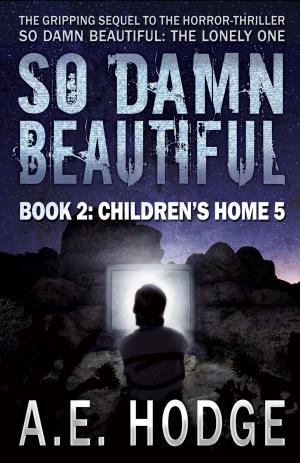 Cover of So Damn Beautiful: Children's Home 5 (So Damn Beautiful, #2)