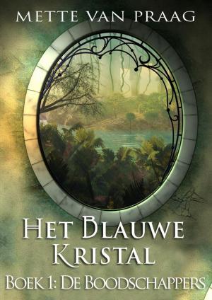 Cover of the book Het blauwe kristal: De boodschappers by Lizzie van den Ham