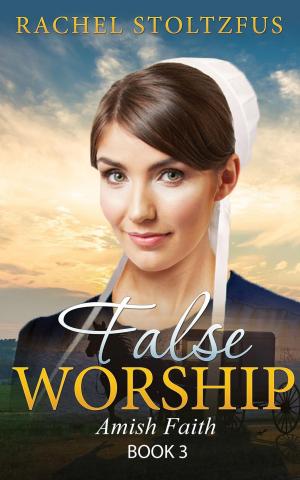bigCover of the book Amish Home: False Worship - Book 3 by 
