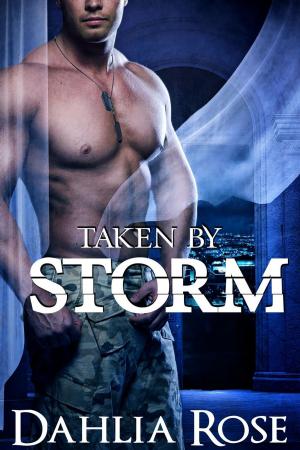 Book cover of Taken By Storm